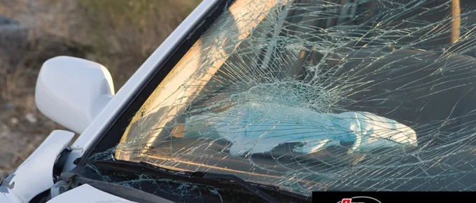 Expert repairs for cars damaged by deer collisions in Blue Ridge, GA